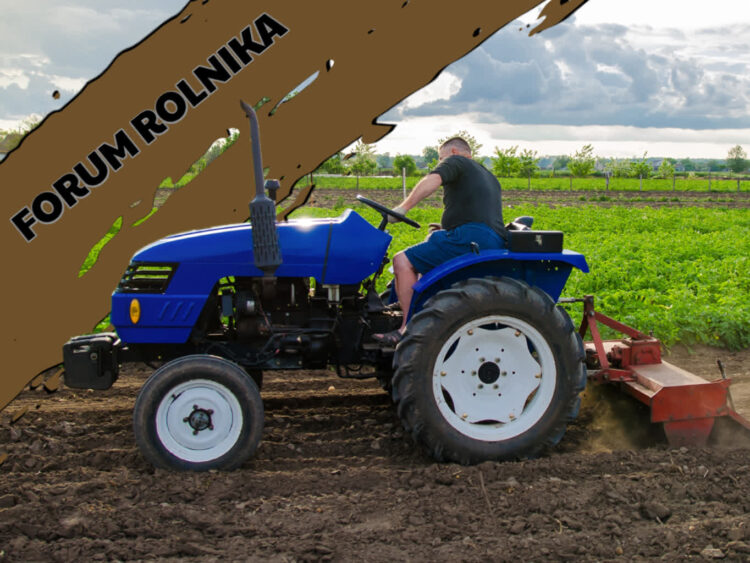 Forum Rolnika #9: Możliwość uzyskania wsparcia przez grupy producentów rolnych i organizacje producentów - Interwencja I.13.2. PS WPR 2023-2027 9 Forum Rolnika #9: Możliwość uzyskania wsparcia przez grupy producentów rolnych i organizacje producentów - Interwencja I.13.2. PS WPR 2023-2027 Radio Zachód - Lubuskie