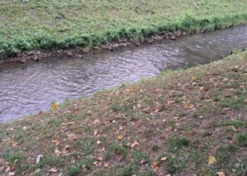 Akcja sprzątania Kłodawki w Gorzowie. Każdy może dołączyć 12 Akcja sprzątania Kłodawki w Gorzowie. Każdy może dołączyć Radio Zachód - Lubuskie