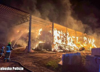 Areszt dla 27-latka podejrzanego o podpalenie w Słońsku i spowodowanie 800 tys. zł strat 15 Areszt dla 27-latka podejrzanego o podpalenie w Słońsku i spowodowanie 800 tys. zł strat Radio Zachód - Lubuskie