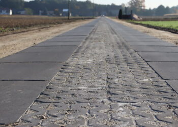 fot. Zosia Popielecka z urzędu miejskiego w Babimoście