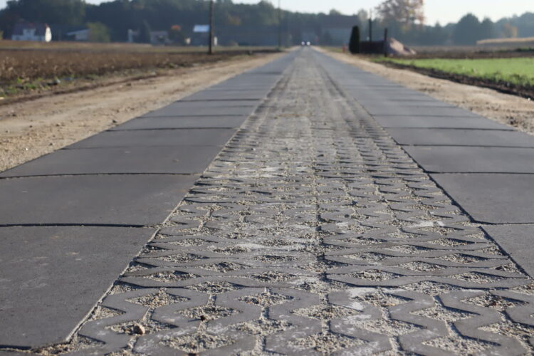 fot. Zosia Popielecka z urzędu miejskiego w Babimoście