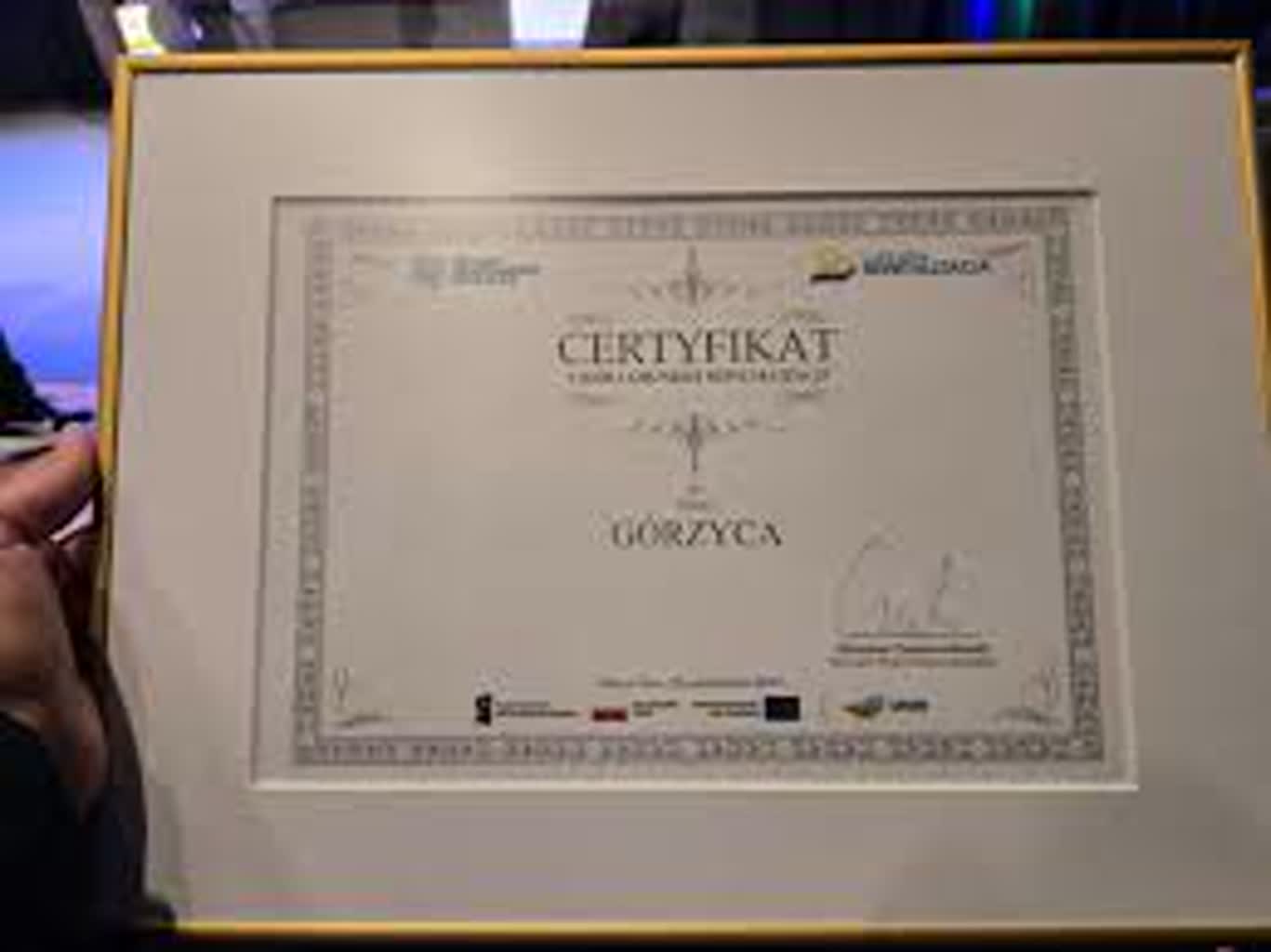 Górzyca liderem rewitalizacji