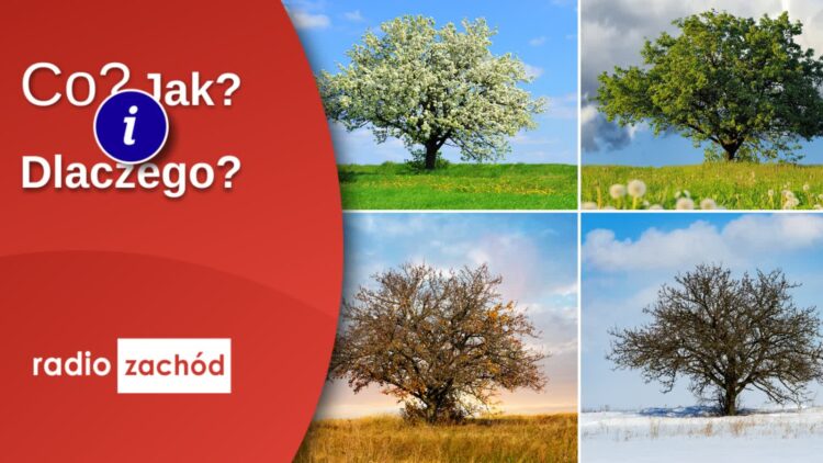 Odkrywamy piękno natury Radio Zachód - Lubuskie