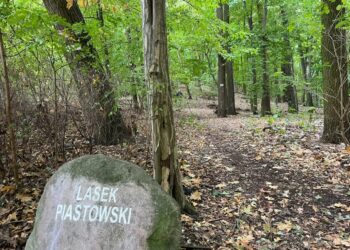 Trwają zapisy na jesienne spacery po Wzgórzach Piastowskich Radio Zachód - Lubuskie