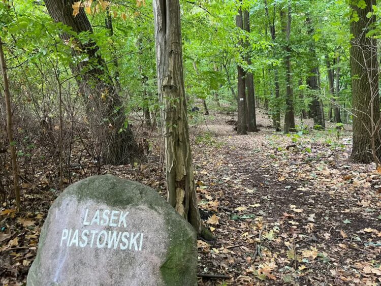 Trwają zapisy na jesienne spacery po Wzgórzach Piastowskich Radio Zachód - Lubuskie