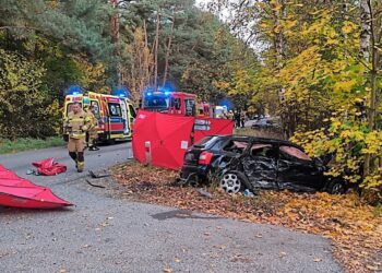 Śmiertelny wypadek na trasie Stańsk-Gronów 15 fot.: Słubice 112/facebook