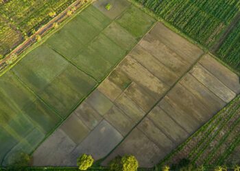 Zdjęcie ilustracyjne. Fot. Pixabay