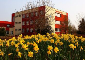 Fot. Spożywczak- ZSP nr 4 w Nowej Soli/FB