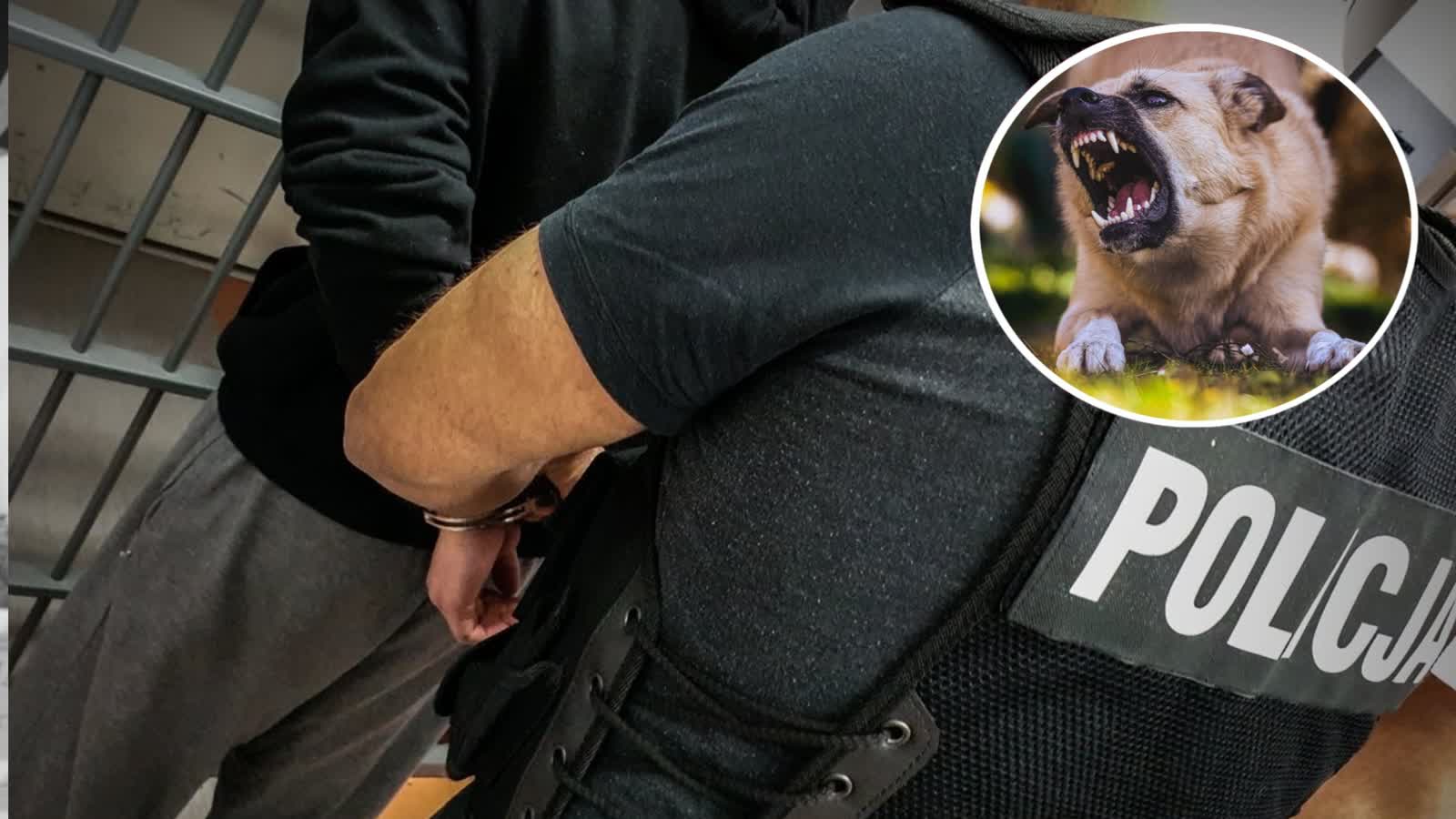 Zbrodnia w Barcicach. Podejrzany 25-latek tymczasowo aresztowany