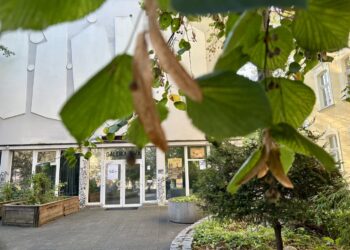 Dan Perjovschi w BWA Radio Zachód - Lubuskie