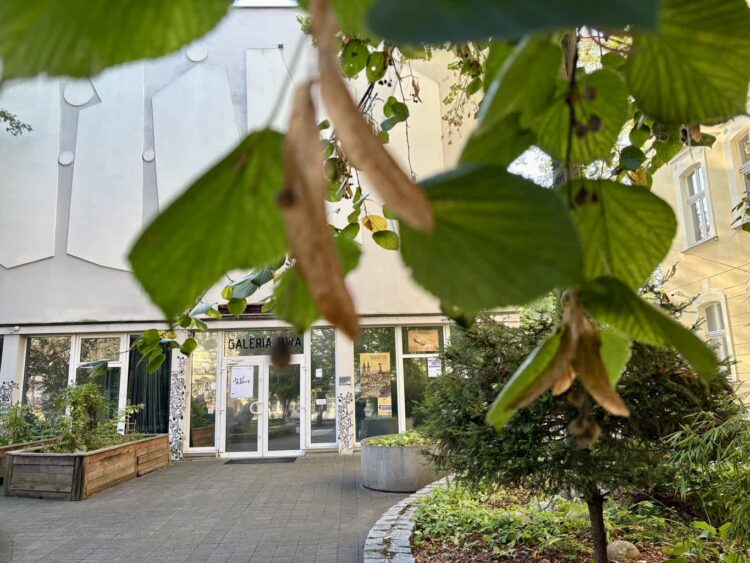 Dan Perjovschi w BWA 9 Dan Perjovschi w BWA Radio Zachód - Lubuskie