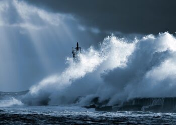 Zdjęcie ilustracyjne. Fot. Pixabay