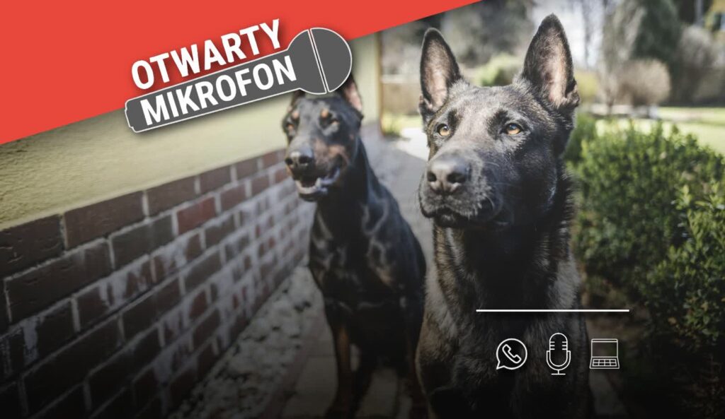 Czy świadomość właścicieli czworonogów jest wystarczająca i potrafimy zadbać o bezpieczeństwo? 5 Czy świadomość właścicieli czworonogów jest wystarczająca i potrafimy zadbać o bezpieczeństwo? Radio Zachód - Lubuskie