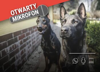 Czy świadomość właścicieli czworonogów jest wystarczająca i potrafimy zadbać o bezpieczeństwo? 13 Czy świadomość właścicieli czworonogów jest wystarczająca i potrafimy zadbać o bezpieczeństwo? Radio Zachód - Lubuskie