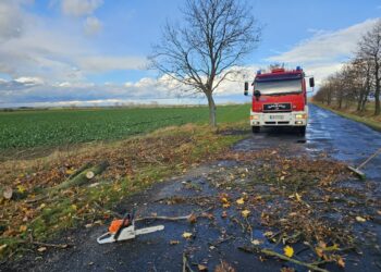 735 zdarzeń na terenie całego kraju w związku z ulewami i silnym wiatrem. Są ostrzeżenia IMGW 14 Na trasie Wielowieś-Parszowice silny wiatr przewrócił duże drzewo w poprzek drogi, blokując ruch. Fot. Ochotnicza Straż Pożarna w Zaborowie/FB