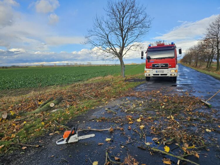 Na trasie Wielowieś-Parszowice silny wiatr przewrócił duże drzewo w poprzek drogi, blokując ruch. Fot. Ochotnicza Straż Pożarna w Zaborowie/FB