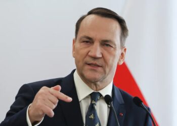 Radosław Sikorski Fot. PAP/Paweł Supernak