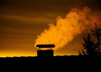 Strażnicy miejscy rozpoczynają kontrole antysmogowe Radio Zachód - Lubuskie