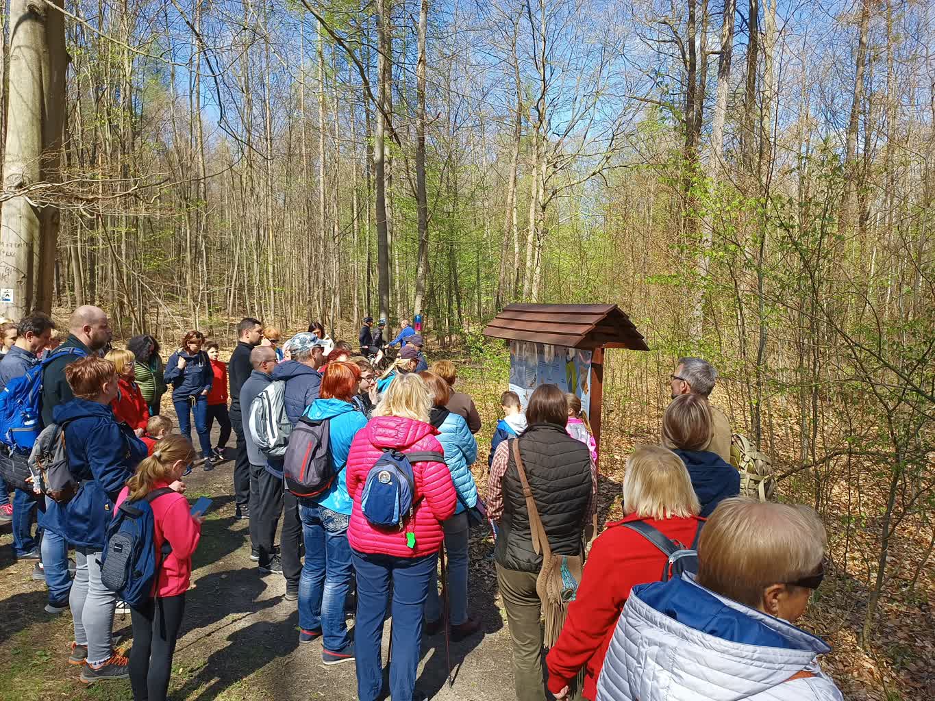 Żarski PTTK zaprasza na nocny spacer po Zielonym Lesie