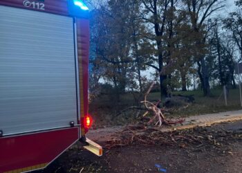 Osiem interwencji po wichurze Radio Zachód - Lubuskie