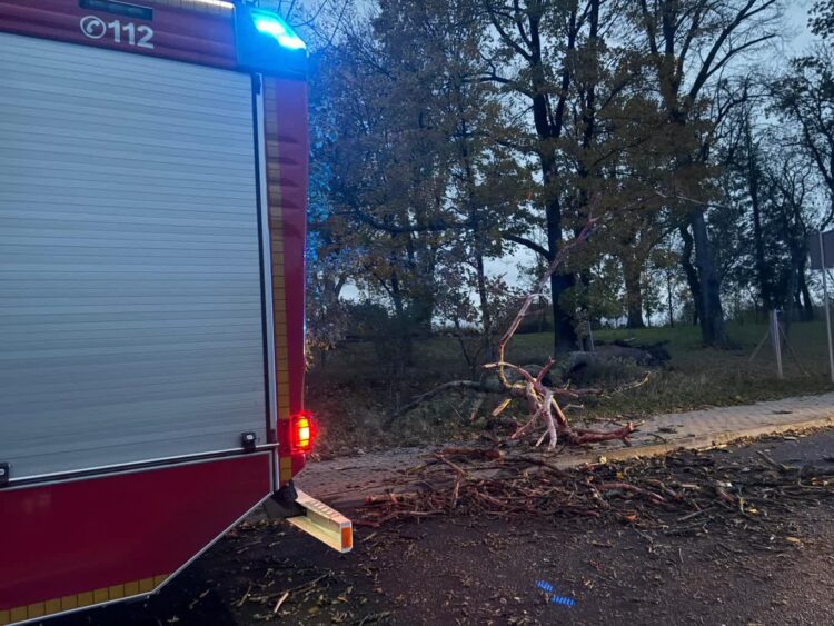 Osiem interwencji po wichurze Radio Zachód - Lubuskie