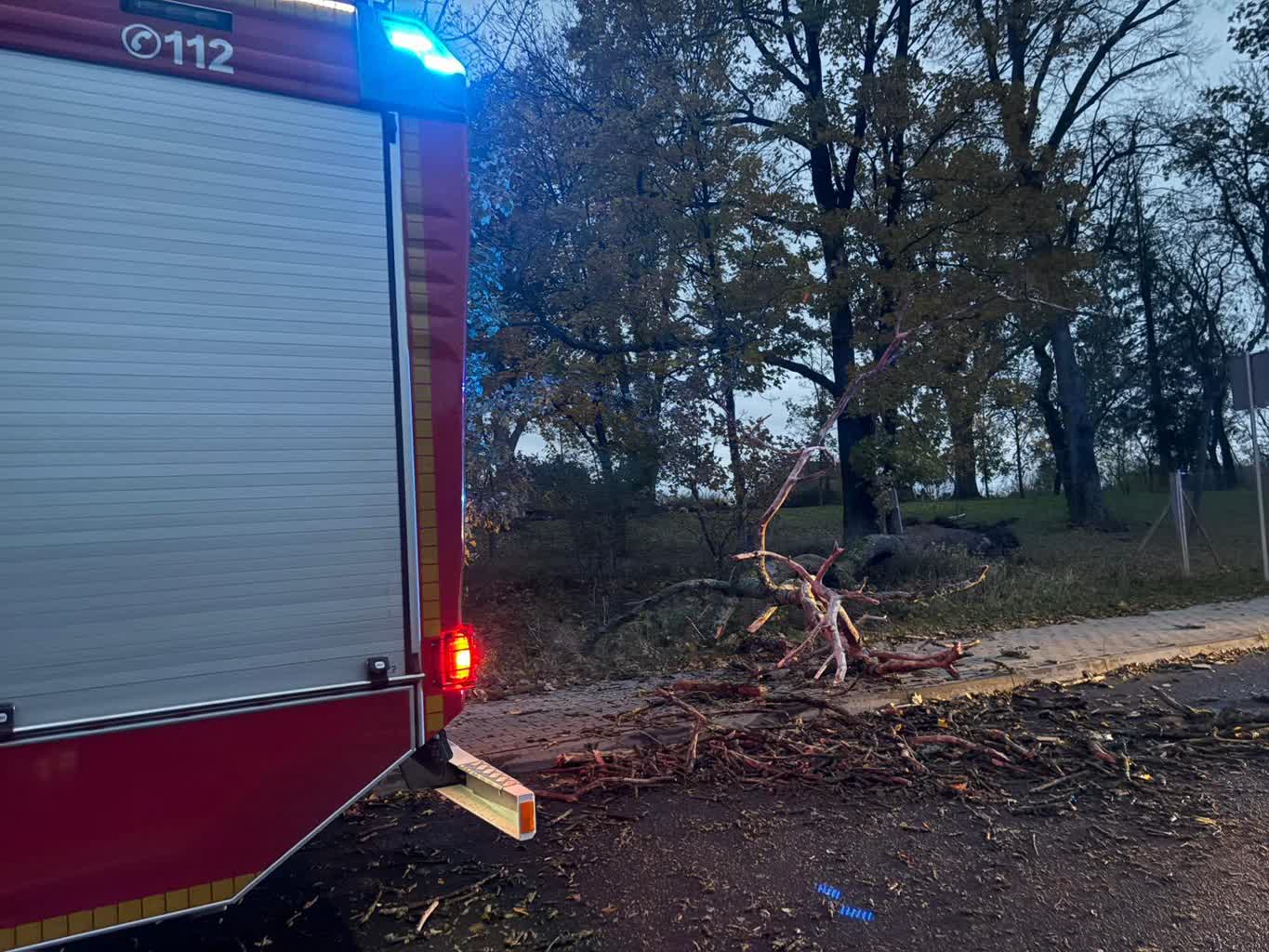 Osiem interwencji po wichurze Radio Zachód - Lubuskie