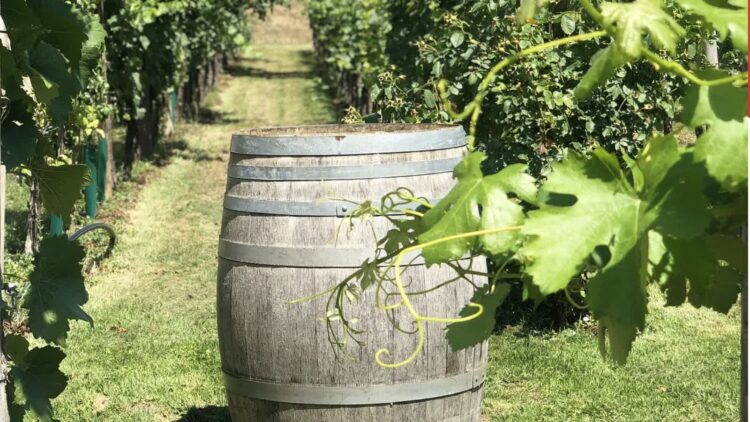 Zdjęcie ilustracyjne. Fot. Pixabay