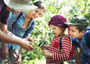 Nauczyciele i szkoły wstrzymują wyjścia klasowe. MEN: analizujemy uwagi środowiska 15 Zdjęcie ilustracyjne. Fot. Freepik