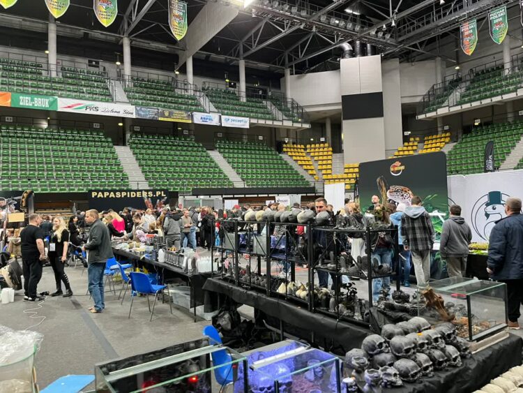 Targi ZooEgzotyka w hali CRS [GALERIA ZDJĘĆ] Radio Zachód - Lubuskie