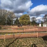 fot. Jakub Lesiński