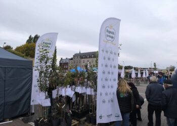 I Gorzowski Festiwal Renety Landsberskiej 14 I Gorzowski Festiwal Renety Landsberskiej Radio Zachód - Lubuskie