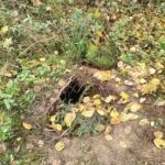 Fot. Podlaski Oddział Straży Granicznej/FB