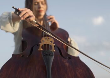 Smyczki zabrzmiały w Zielonej Górze! 13 fot. freepik