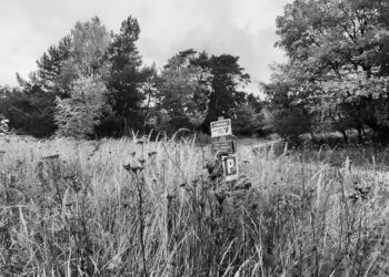 Okolice strzelnicy fot. M. Nabel