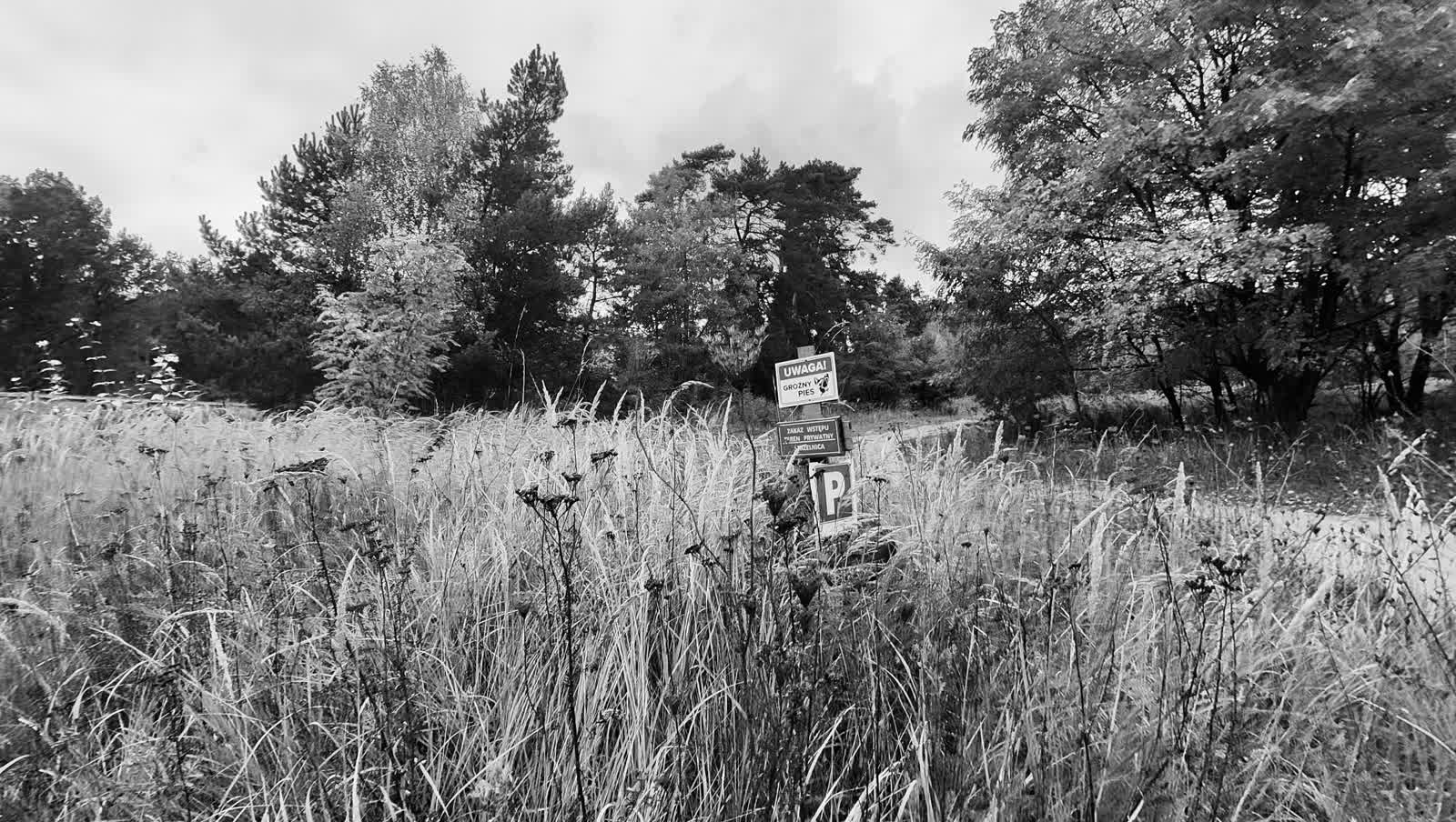 „Dlaczego” Reportaż Małgorzaty Nabel-Dybaś