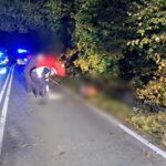 Fot. Komenda Powiatowa Policji w Wejherowie