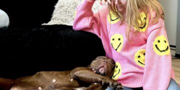 Dla bezdomniaków. 5 konwent tatuażu 14 Iwona Hylewska fot. archiwum bohaterki