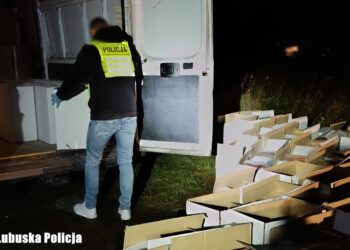 Policjanci z Żar skonfiskowali 200 tys. paczek papierosów bez akcyzy (Lubuska Policja)