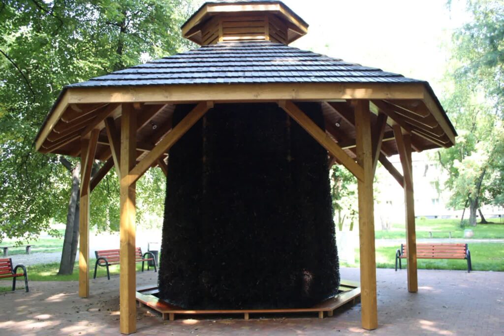 fot.UM Piekary Śląskie - fotografia ilustracyjna