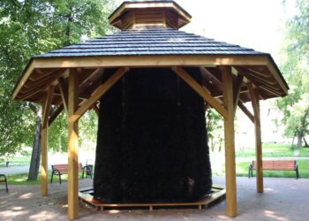 Tężnia powstanie w Rzepinie 14 fot.UM Piekary Śląskie - fotografia ilustracyjna