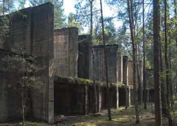 Brożek ma potencjał 17 fot. Wikipedia/ Stefan Fussan