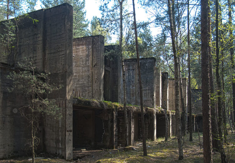 Brożek ma potencjał 9 fot. Wikipedia/ Stefan Fussan