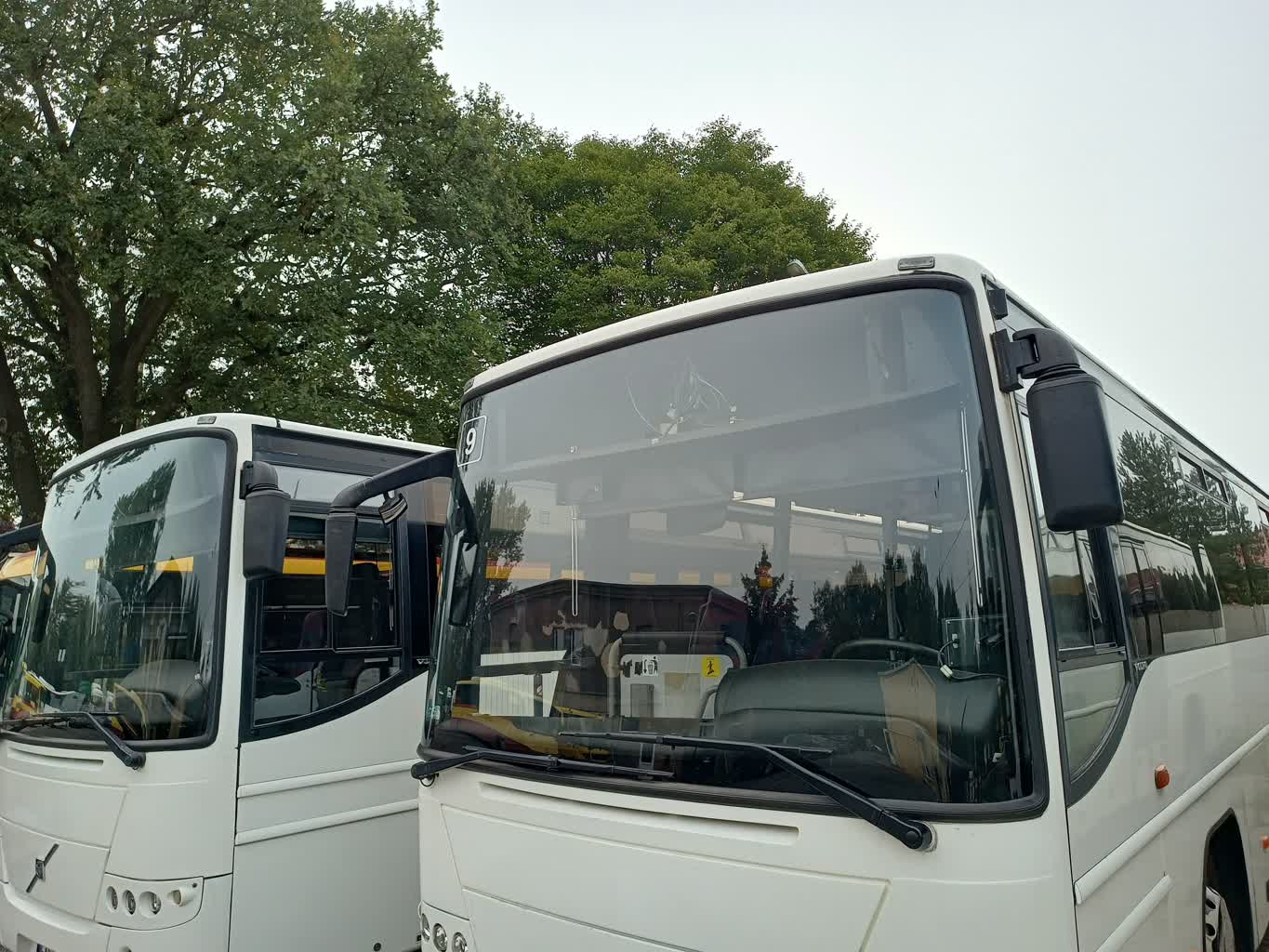 Bezpłatna komunikacja na żarskie nekropolie