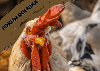 Forum Rolnika #10: Rozwój Małych Gospodarstw Radio Zachód - Lubuskie