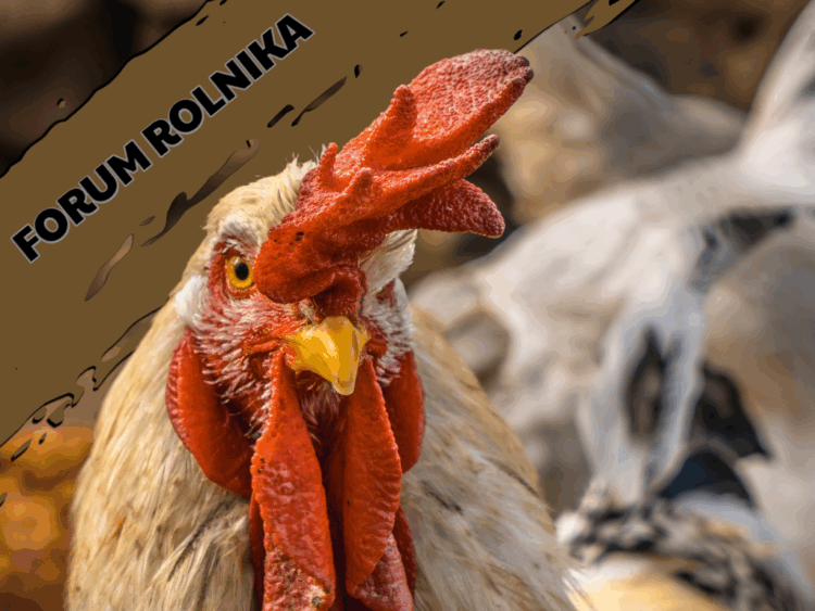 Forum Rolnika #10: Rozwój Małych Gospodarstw 9 Forum Rolnika #10: Rozwój Małych Gospodarstw Radio Zachód - Lubuskie