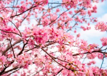 Badaj się, bądź zdrowa Radio Zachód - Lubuskie