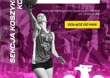 AZS i SKM szukają w Zielonej Górze koszykarek. To szansa m.in. dla studentek 12 fot. materiały organizatora