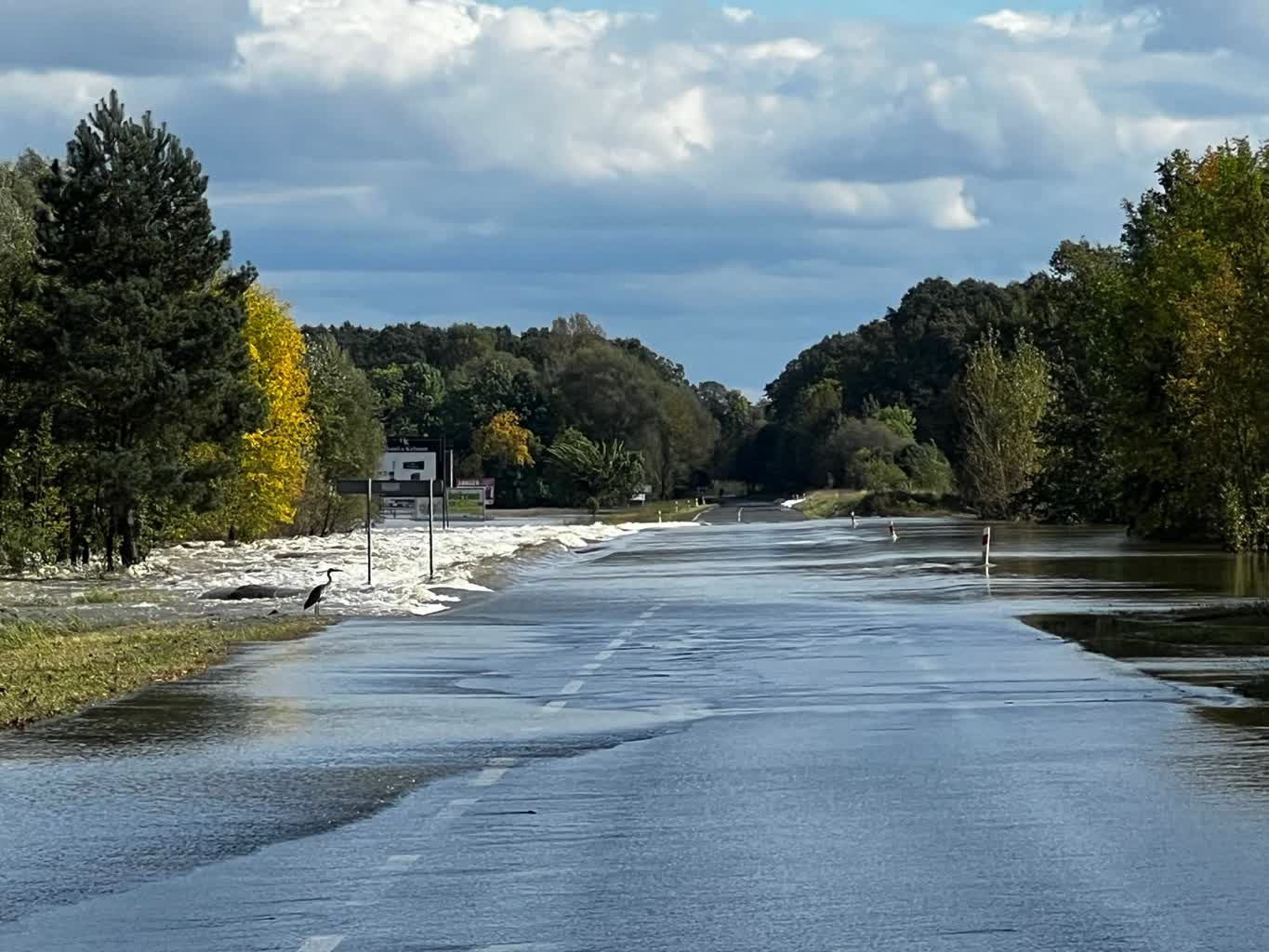 Ścieżka rowerowa z Nowej Soli do Przyborowa