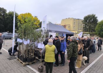 Smaki, muzyka i atrakcje. Trwa Festiwal Renety Landsberskiej 11 Smaki, muzyka i atrakcje. Trwa Festiwal Renety Landsberskiej Radio Zachód - Lubuskie