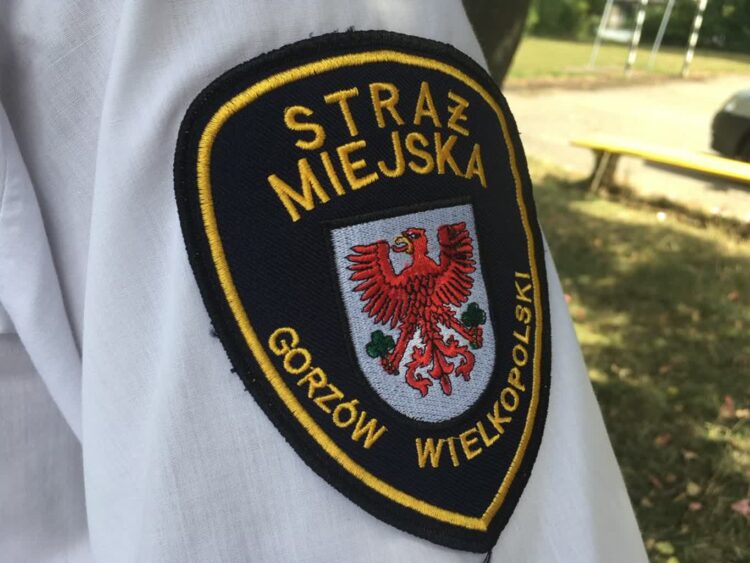 Atak na miejskich strażników w centrum Gorzowa Radio Zachód - Lubuskie